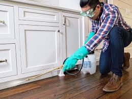 Best Pest Prevention Services  in Okemos, MI